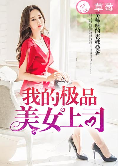 小说：我的极品美女上司，作者：草莓味的表妹