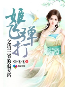 小说：姬飞弹打之靖王爷的追妻路，作者：张化化