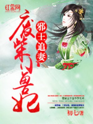 小说：邪王追妻：废柴小兽妃，作者：初七