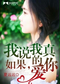 小说：如果，我说我真的爱你，作者：夏远远