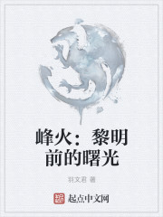 小说：峰火：黎明前的曙光，作者：羽文君