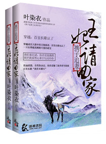 小说：携子追妻王妃请回家，作者：叶染衣