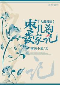小说：枣儿沟发家记，作者：南侠小展