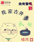 小说：我家古井通武林，作者：晴风
