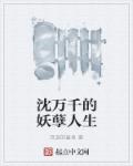 小说：沈万千的妖孽人生，作者：流浪的鲨鱼
