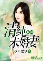 小说：我的清纯未婚妻，作者：少年繁华