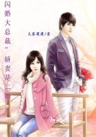 小说：闪婚大总裁：娇妻是二婚，作者：大雾漫漫