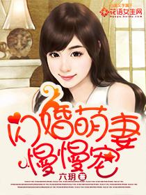 小说：闪婚萌妻慢慢宠，作者：六玥