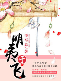 小说：明夷于飞，作者：李写意