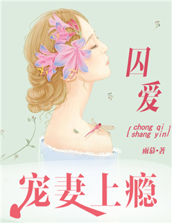 小说：囚爱：宠妻上瘾，作者：雨慕