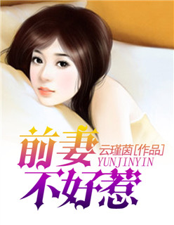 小说：前妻不好惹，作者：云瑾茵