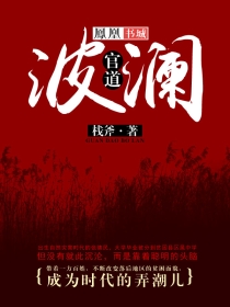 小说：官道波澜，作者：栈斧
