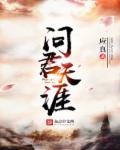 小说：问君天涯，作者：应真