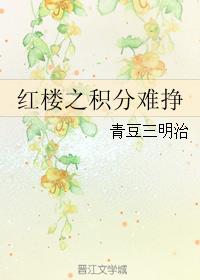 小说：红楼之积分难挣，作者：青豆三明治