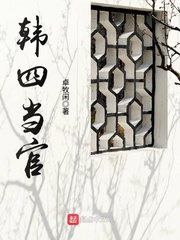 小说：韩四当官，作者：卓牧闲