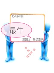 小说：三国之最牛升级系统，作者：来瓶敌敌畏