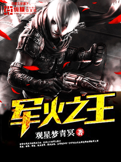 小说：军火之王，作者：观星梦青冥