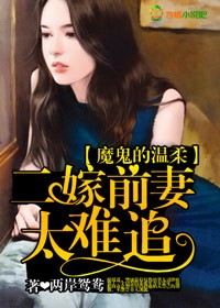 小说：魔鬼的温柔，二嫁前妻太难追，作者：两岸鸳鸯