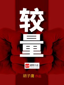 小说：较量，作者：胡子庸