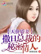 小说：天价娇妻：撒旦总裁的秘密情人，作者：圆锥姑娘