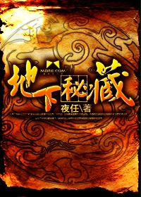 小说：地下秘藏，作者：夜任