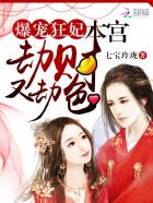 小说：爆宠狂妃：本宫劫财又劫色，作者：七宝玲珑