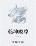 小说：乾坤殿尊，作者：王牌宅