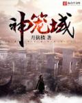 小说：神笼域，作者：月擒楼