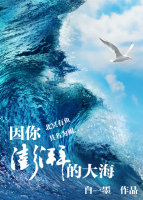 小说：因你澎湃的大海，作者：白一墨