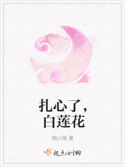 小说：扎心了，白莲花，作者：陶小陶