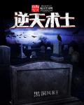 小说：逆天术士，作者：黑洞风暴