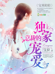 小说：婚期一年，作者：宝拉