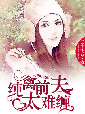 小说：限时复婚：纯禽前夫太难缠，作者：云中飞燕