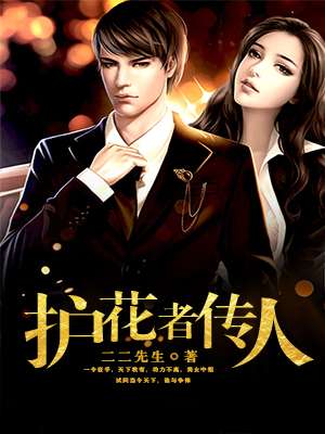 小说：护花者传人，作者：二二先生