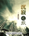 小说：沉寂之旅，作者：漠然旅者