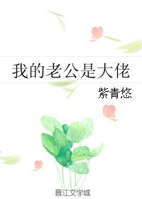 小说：我的老公是大佬，作者：紫青悠