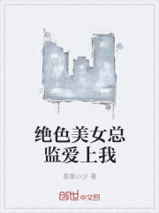 小说：绝色美女总监爱上我，作者：曾家小少