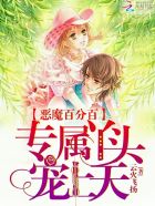 小说：恶魔百分百：专属丫头宠上天，作者：云火飞扬