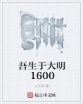 小说：吾生于大明1600，作者：三元吧