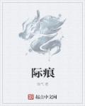 小说：际痕，作者：皓气