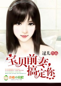 小说：宝贝前妻，搞定你，作者：过儿