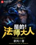 小说：是的！法师大人，作者：簌风
