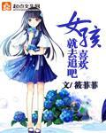 小说：女孩喜欢就去追吧，作者：筱菲菲