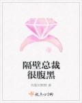 小说：隔壁总裁很腹黑，作者：忧夏的默默