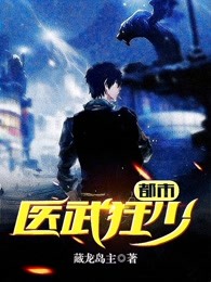 小说：都市医武狂婿，作者：藏龙岛主