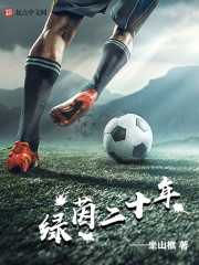 小说：绿茵二十年，作者：坐山樵