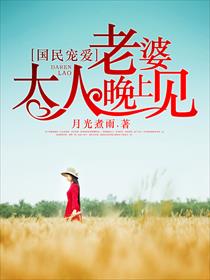 小说：国民宠爱：老婆大人晚上见，作者：月光煮雨
