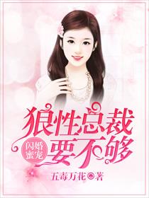 小说：闪婚蜜宠：狼性总裁要不够，作者：五毒万花