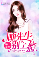 小说：顾先生的第一宠婚，作者：丰家小七