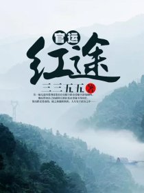 小说：商运红途，作者：三三五五